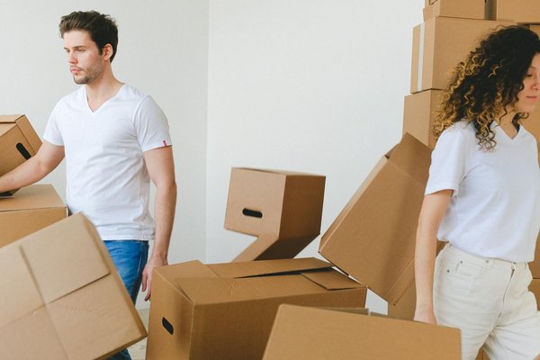 Cultivez de Savoureux Fruits Rouges sur Votre Balcon en Soleil : Guide Pratique et Astuces Incontournables